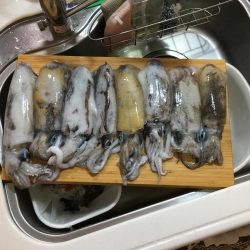 ボートジギング・エギング